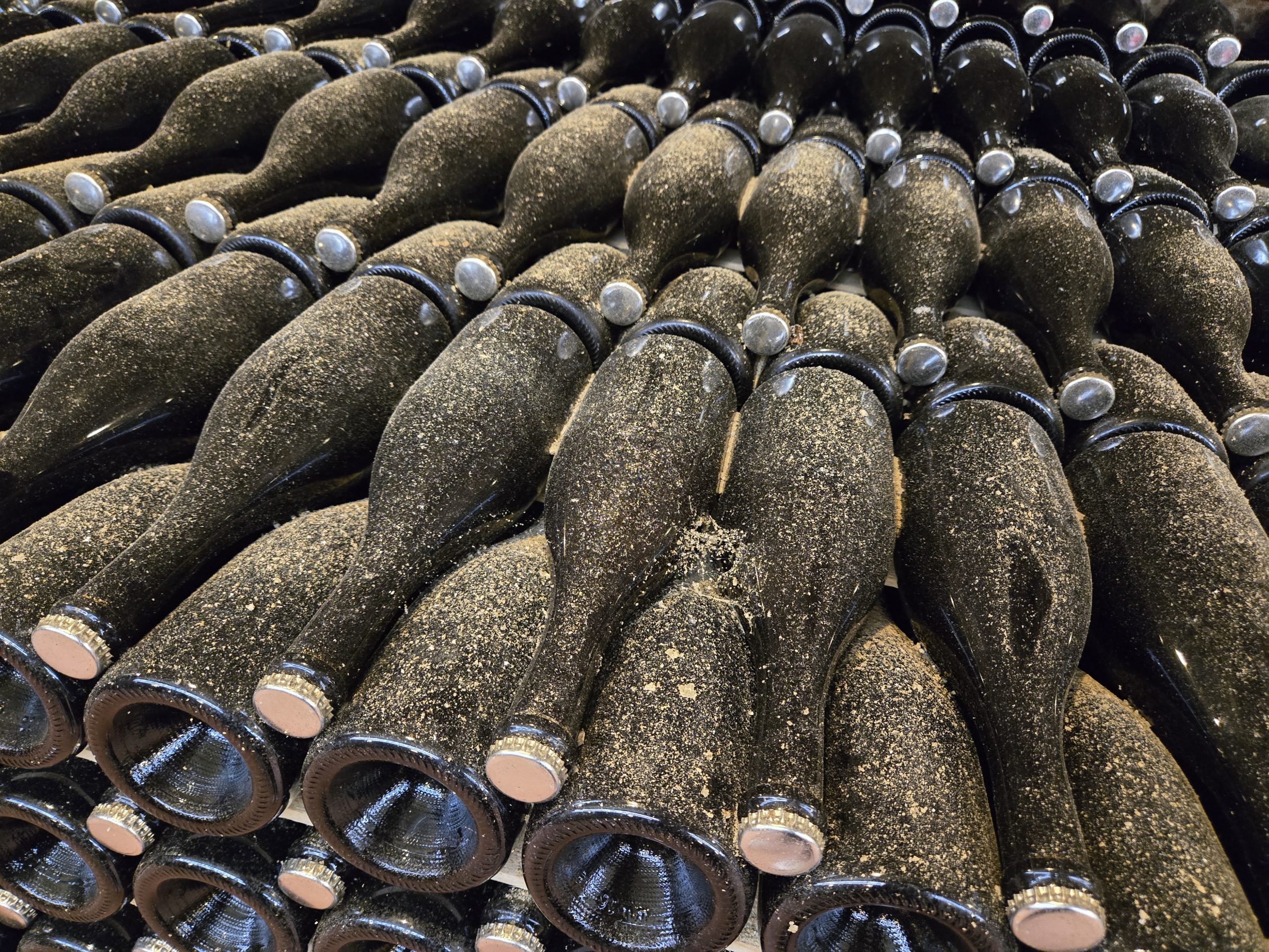 viajur winery, little carpathians, slovakian wines, helen siwak, folioyvr, travel, west coast luxury, vancouver, bc, yvr