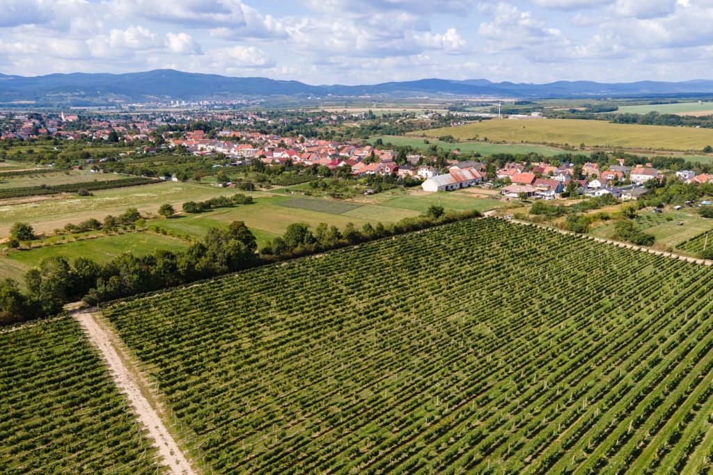 carpate diem winery, slovakian wines, little carpathians, folioyvr, helen siwak, vancouver, bc, west coast luxury, luxury lifestyle
