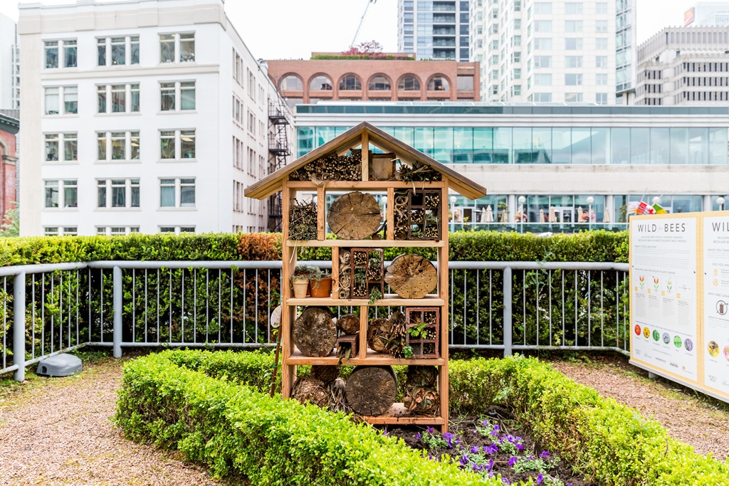 FAIRMONT WATERFRONT, APIARY, HELEN SIWAK, FOLIOYVR, VANCOUVER, BC, YVR, LUXURY HOTEL