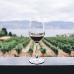 winery, vineyard, tuscany, okanagan, france, italy, travel and adventure, folioyvr, helen siwak, vancouver, yvr