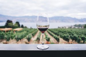 winery, vineyard, tuscany, okanagan, france, italy, travel and adventure, folioyvr, helen siwak, vancouver, yvr