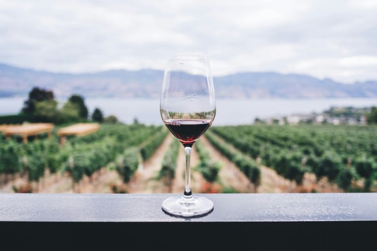 From Okanagan to Old World: Three Destinations Every Wine Enthusiast Must Visit