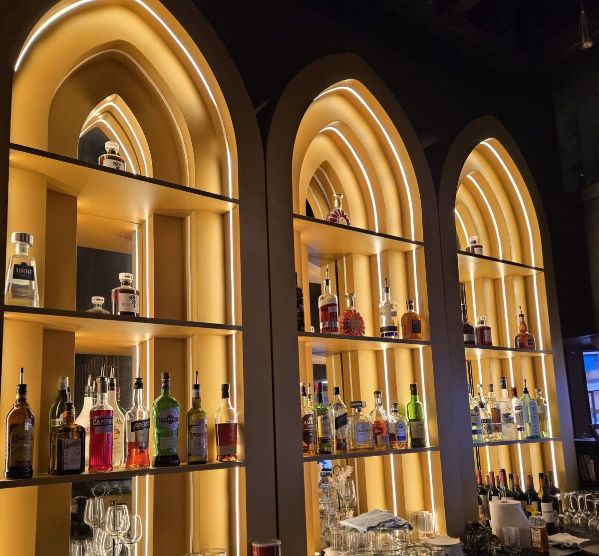 desi lounge, helen siwak, jess singh, indian dining, vancouver, yaletown, downtown vancouver, yvr