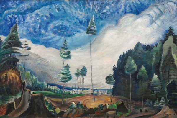 emily carr, vancouver art gallery, downtown vancouver, parx, sirish rao, helen siwak, folioyvr, bc, yvr