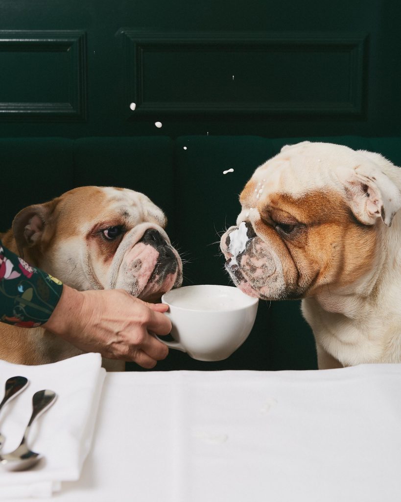 marche mon pitou, jesse jonathan hawes, triet duong, french bakery, folioyvr, helen siwak, vancouver, BC, yvr