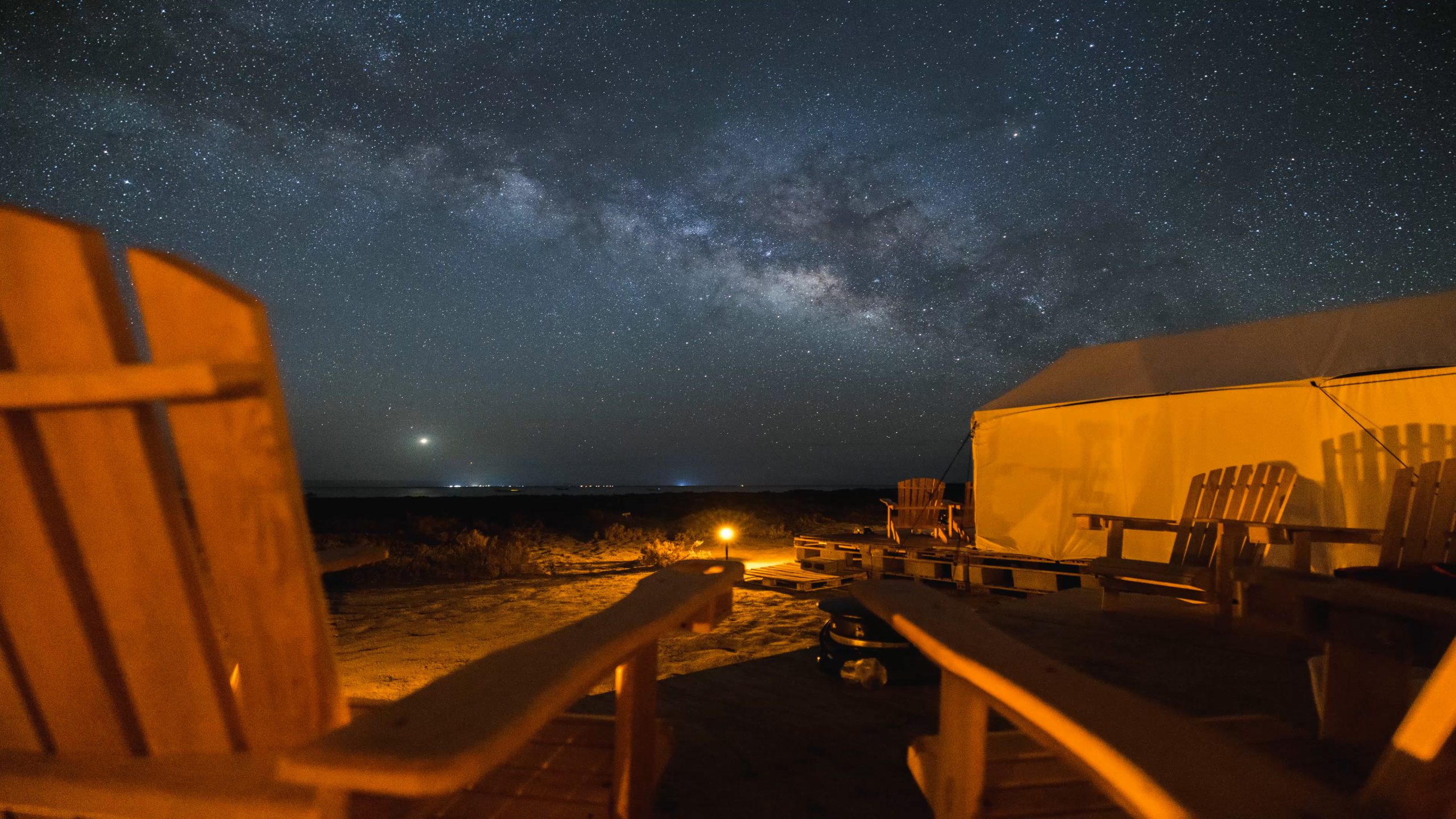 baja expeditions, luxury travel, once in a lifetime experience, mexico, baja california, whale watching, helen siwak, folioyvr