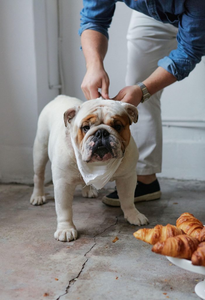 marche mon pitou, jesse jonathan hawes, triet duong, french bakery, folioyvr, helen siwak, vancouver, BC, yvr