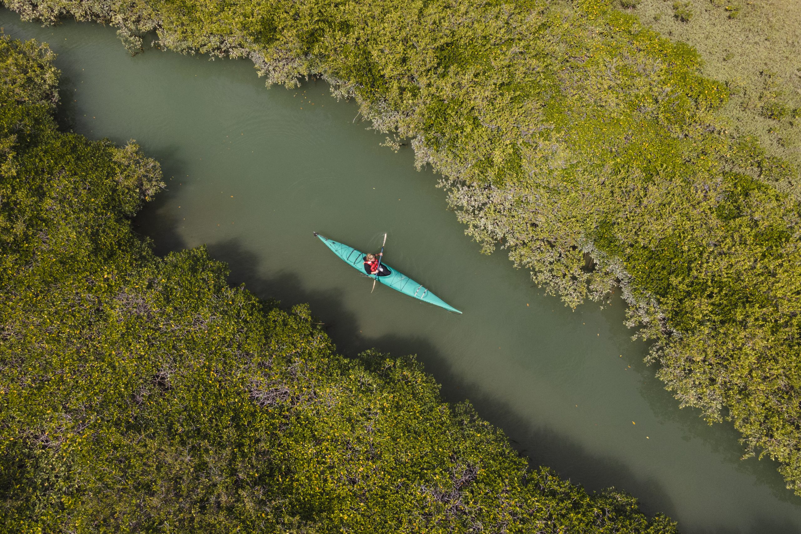 baja expeditions, luxury travel, once in a lifetime experience, mexico, baja california, whale watching, helen siwak, folioyvr