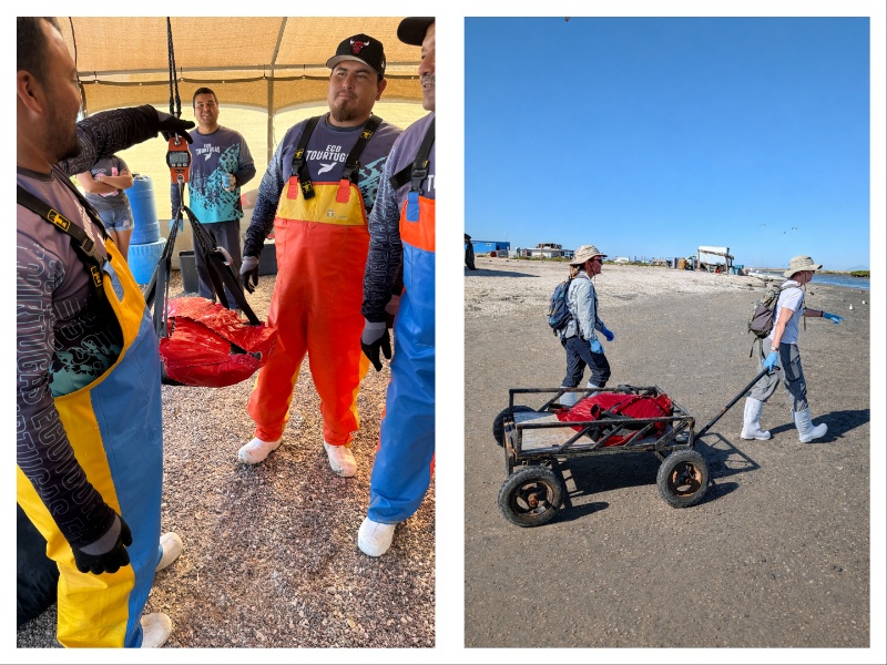 baja expeditions, luxury travel, once in a lifetime experience, mexico, baja california, whale watching, helen siwak, folioyvr