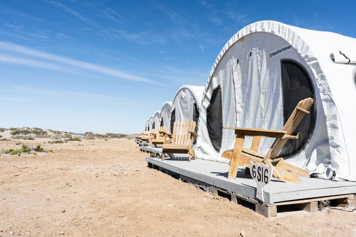 baja expeditions, luxury travel, once in a lifetime experience, mexico, baja california, whale watching, helen siwak, folioyvr