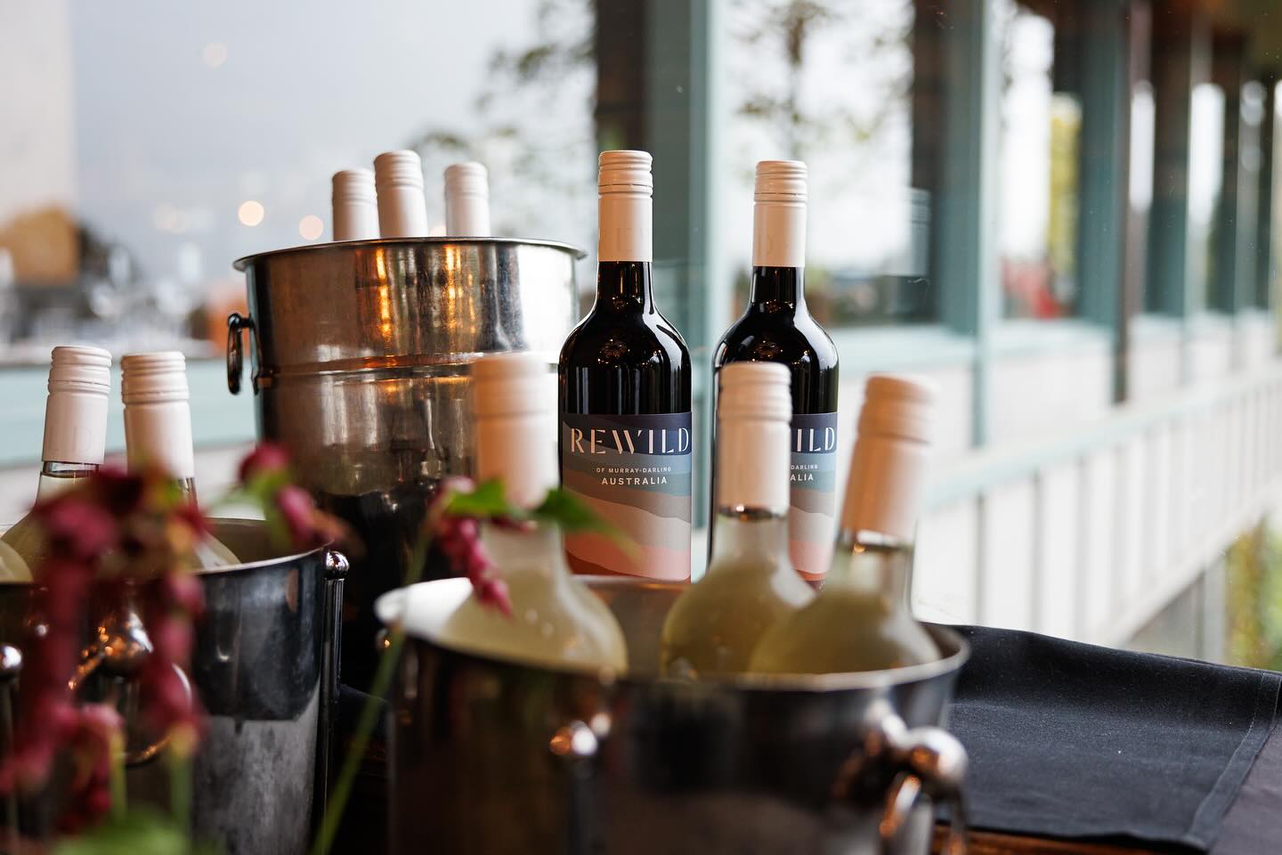 rewild, australian wine, vegan wine, luxury, west coast luxury, helen siwak, folioyvr, bc, yvr