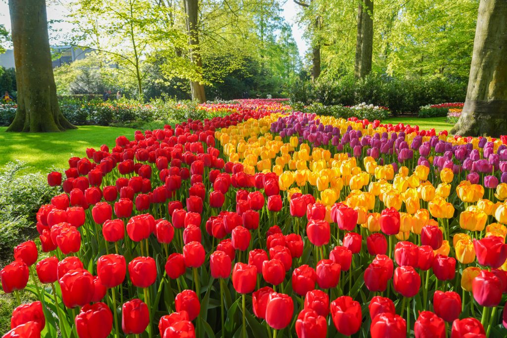 riverside luxury cruises, the debussy, helen siwak, folioyvr, west coast ecoluxlury, luxury lifestyle, vancouver, bc, yvr, travel and adventure, river cruising