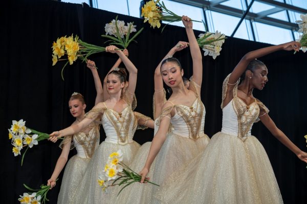daffodil ball, wheaton, gold council, helen siwak, folioyvr, vancouver, bc, yvr, west coast, gala season