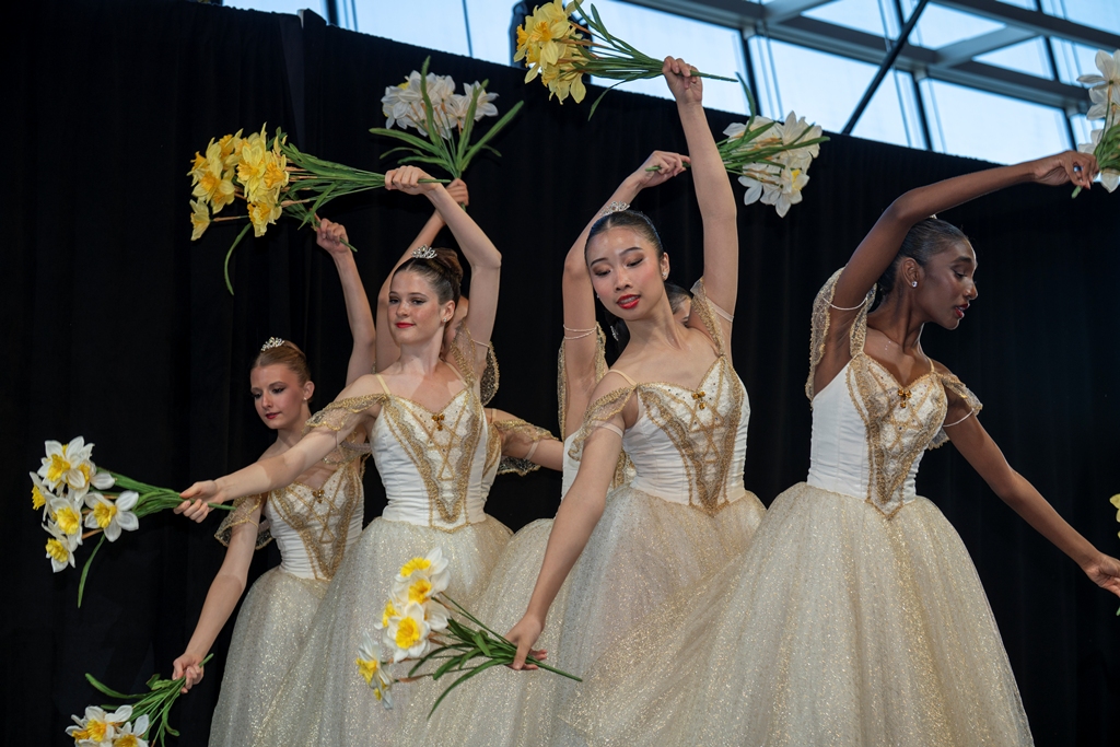 daffodil ball, wheaton, gold council, helen siwak, folioyvr, vancouver, bc, yvr, west coast, gala season