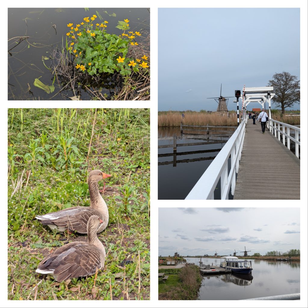 riverside luxury cruises, the debussy, helen siwak, folioyvr, west coast ecoluxlury, luxury lifestyle, vancouver, bc, yvr, travel and adventure, river cruising
