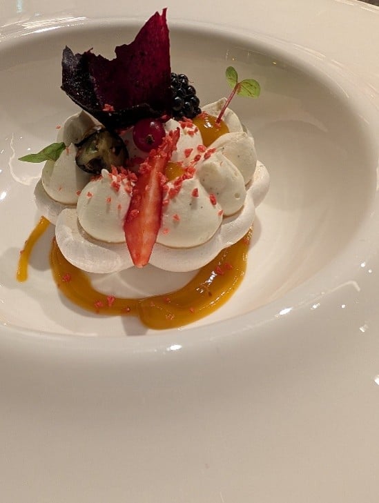 the debussy, riverside luxury cruises, jade massie, helen siwak, netherland, travel, luxury lifestyle, plantbased dining
