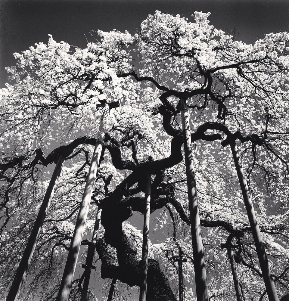 kostuik gallery, michael kenna, press release, vancouver art scene, yaletown, helen siwak, folioyvr, yvr, bc, fine art gallery