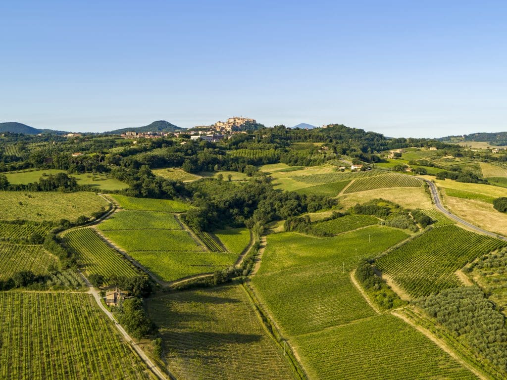 global luxury, tuscany wine, town hall brands, helen siwak, folioyvr, montepulciano, olive oil, vancouver, bc, yvr