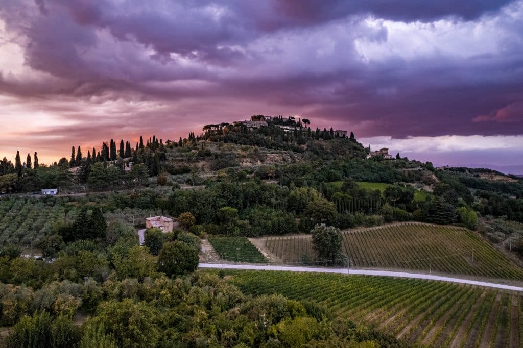 global luxury, tuscany wine, town hall brands, helen siwak, folioyvr, montepulciano, olive oil, vancouver, bc, yvr