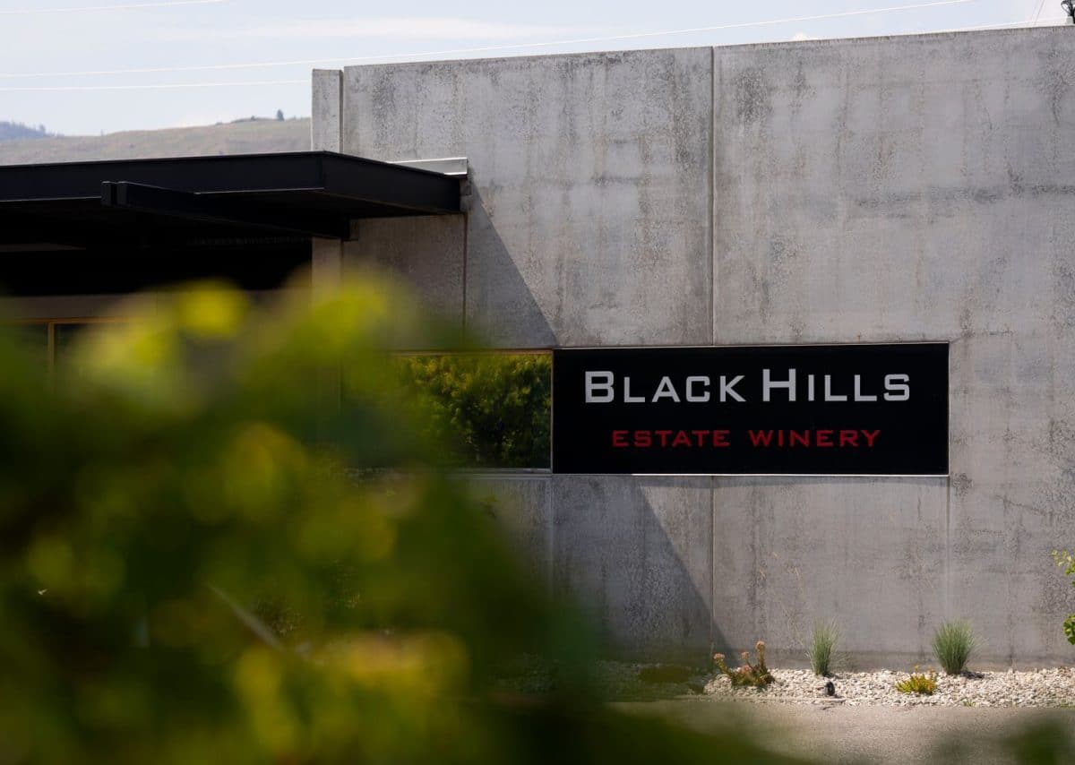 black hills winery, town hall brands, okanagan winery, helen siwak, folioyvr, vancouver, bc, oliver