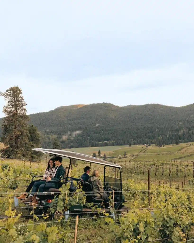 Garnet Valley Ranch Winery, town hall brands, folioyvr, bc sips and stories,
