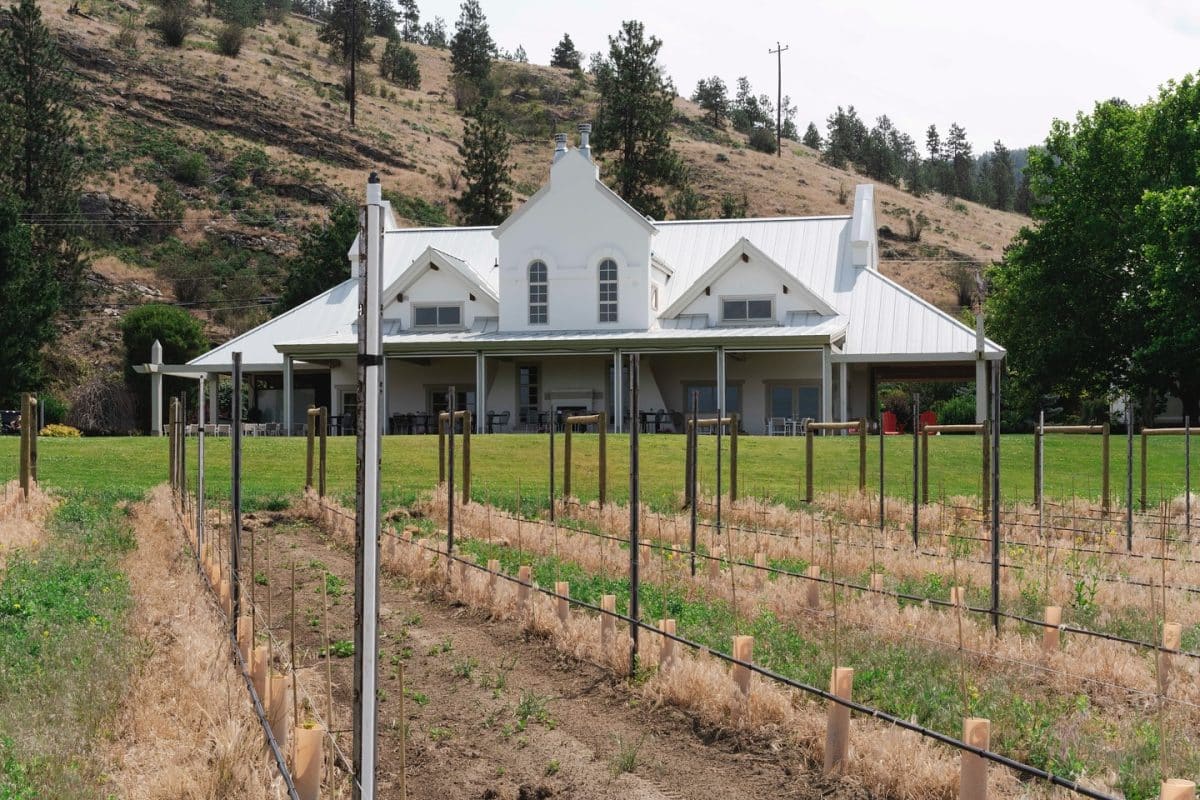 red rooster wines, bc sips and stories, town hall brands, folioyvr, helen siwak, vancouver, naramata bench, yvr, wine tasting