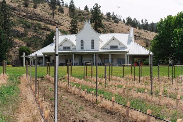 red rooster wines, bc sips and stories, town hall brands, folioyvr, helen siwak, vancouver, naramata bench, yvr, wine tasting